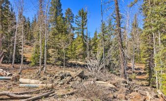 Private Duck Creek Apartment Near Entertainment!
