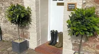 The Cosy Nook Cottage Company - Cosy Cottage Hotels in Appleby