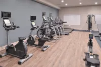 Holiday Inn Express & Suites Houston E - Pasadena by IHG - Gym
