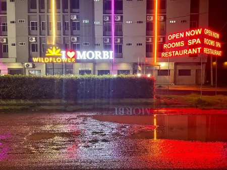 Hotel Wild Flower Отели в г. Морви