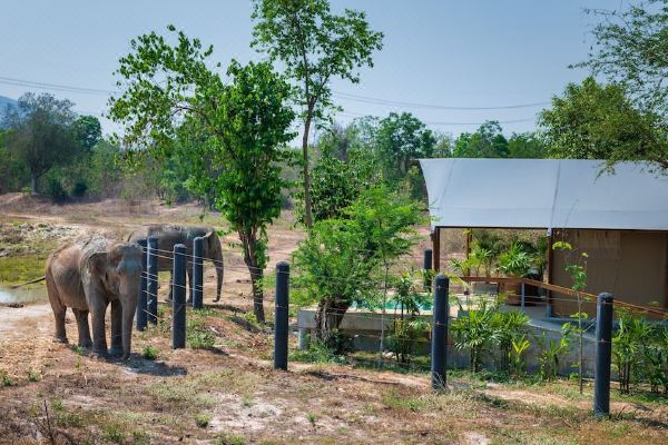 Elephant View Camp(เอเลเฟนท์ วิวแคมป์)_5