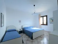 Oasis 1