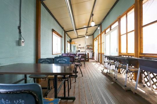 보성 녹차밭 풍경