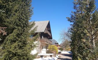 Naturion Hotel Hinterzarten