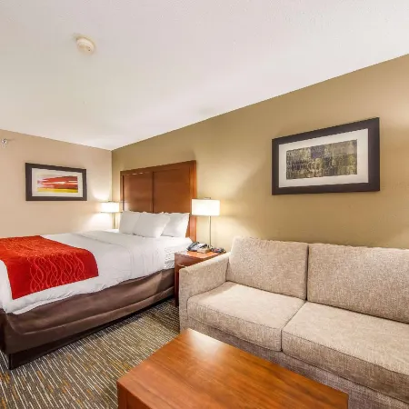 Comfort Inn Greenville - Haywood Mall