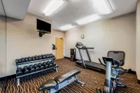 Sleep Inn & Suites Green Bay South - Træningscentre