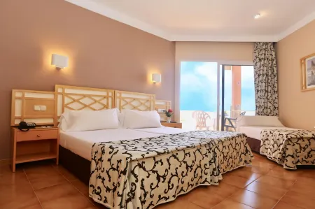 Hotel Puerto Palace Отели рядом с достопримечательностью «Ботанический сад»