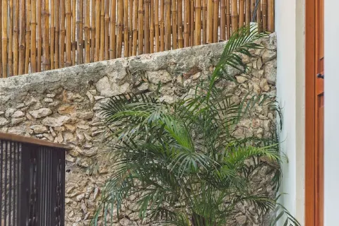 TreeHouse Boutique Hotel - Adults Only