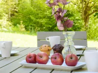 Tranquille Hotels in Kirchheim