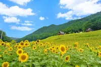 Jeongseon Maehwagol Sanchon Pension