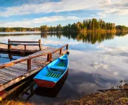 Kinogorodok Hotel Hotels in Bologovsky District