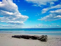 Alaya Tulum - โรแมนติก