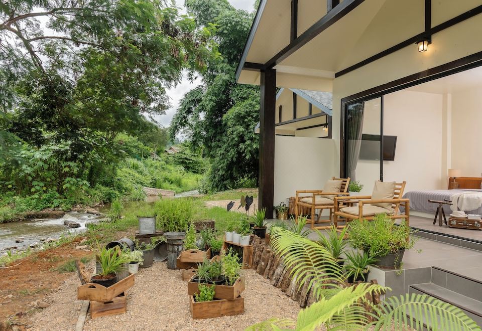 도이창의 밤하늘