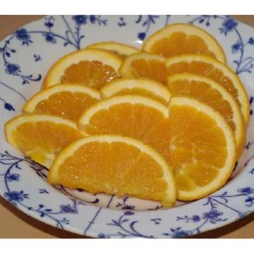 Saga Idaimae Green Hotel