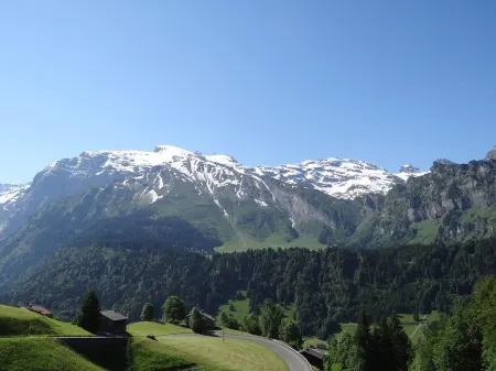 Zügstrasse 4 Отели в г. Энгельберг