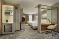 SpringHill Suites Louisville Downtown Hotels in Louisville