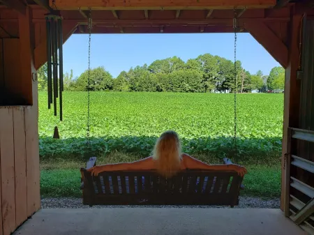 Lake, Caverns, Sewanee, & Jack Daniel’s All Nearby! Boat, RV, Camping, Barn Отели рядом с достопримечательностью «Walls of Jericho»