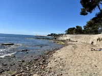T2 les Pieds Dans L'eau aux Pins Penchés !