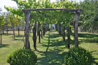 House with pool. Idyllic setting in hills near Lucca and coast WiFi Aircon Pescaglia otelleri