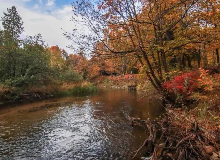 NEW! Cozy 3-bedroom 2-bath, 175 ft on Betsie River, 1 mile to Crystal Mountain