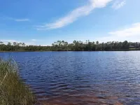 Relaxing 3 BR home close to Water, NAS, Perdido Hotels in Warrington