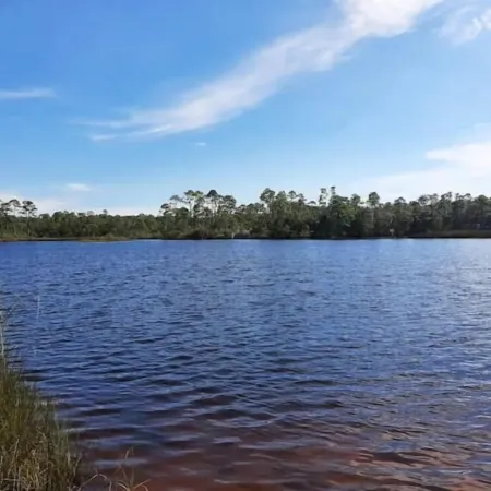 Relaxing 3 BR home close to Water, NAS, Perdido