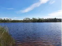 Relaxing 3 BR home close to Water, NAS, Perdido