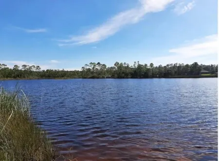 Relaxing 3 BR home close to Water, NAS, Perdido