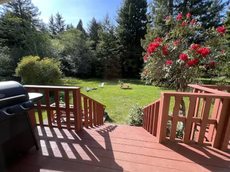 Private mid-century modern hideaway in forest near the river and sea. Отели в г. Бертш-Ошенвью