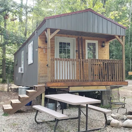 Tiny cabin in towering pines, with lake view. Pets accepted!