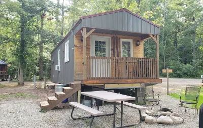 Tiny cabin in towering pines, with lake view. Pets accepted!