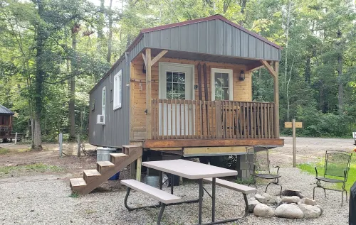 Tiny cabin in towering pines, with lake view. Pets accepted!