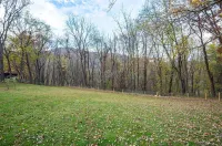 Relaxing Farmhouse, pet friendly, walk to town