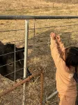 Bredbo Farm Stay