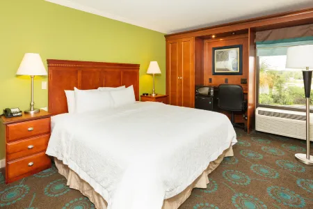 Hampton Inn Daytona Beach-Speedway/Airport Отели рядом с достопримечательностью «Университет аэронавтики Эмбри-Риддла»