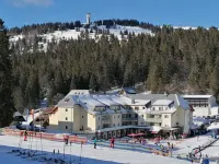 Vacation apartment on the Feldberg directly at the ski lift / hiking trails, up to 4 persons Hotels in Feldberg