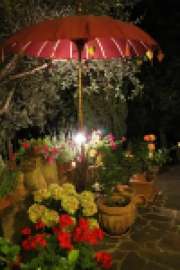 Country House, Lovingly Renovated in the Olive Grove, Large Panoramic Pool, Air Conditioning System