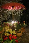 Country House, Lovingly Renovated in the Olive Grove, Large Panoramic Pool, Air Conditioning System
