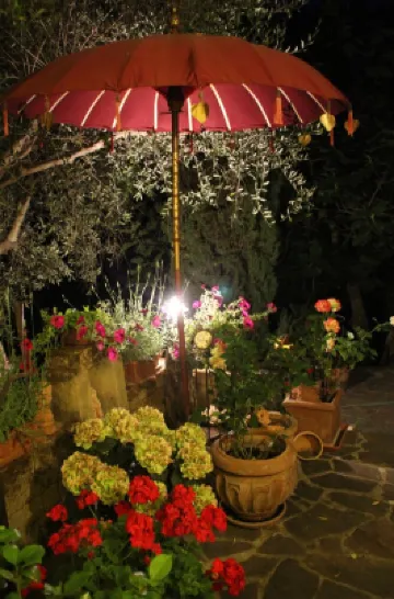 Country House, Lovingly Renovated in the Olive Grove, Large Panoramic Pool, Air Conditioning System