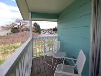 Caddy Shack 2- Charming 3-bedroom totally remodeled with AC and WiFi in Montrose