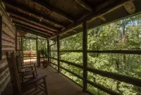 Old World Swiss Cabin Nestled In Woods Ancient Lore & Neyland Stadium Close by