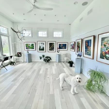 East Suite-Bleubird Studio- 5Miles to KY Horse Park, 30Min the Ark,Bourbon Trail