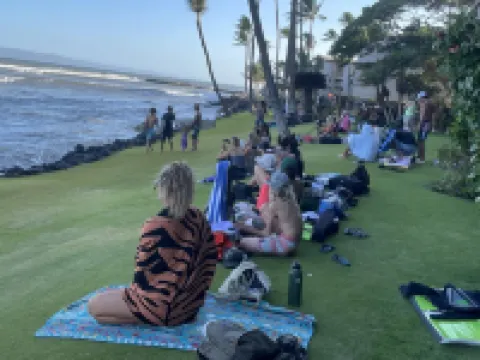 Sea La Vie Secluded Oceanfront condo, Magical Sunrise romantic honeymoon Getaway