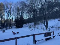 Cozy Berkshire cottage with fireplace. Hotels in Pittsfield