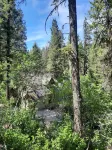 Tranquil Treasure House tucked in the trees of Terrace Lakes golf resort w/ pool
