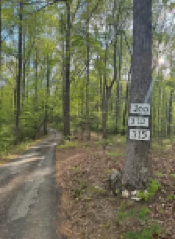 Wandering Bear’s Den Private Studio Near Crozet and Charlottesville