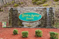 Cabin Located Within The Heart Of The Smokies*Grill*AC*Free WiFi*Hot Tub*Pool.