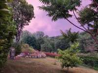 Beautiful Perigourdine near Bergerac, a breath of fresh air in the forest.