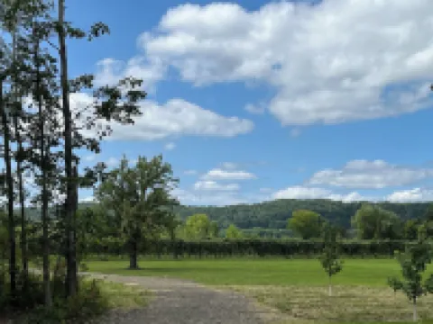 New 2024 Firefly Cottage in the heart of the FingerLakes. Amazing Vineyard views Hotels in Jerusalem