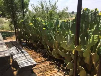 Best Sunsets in town!